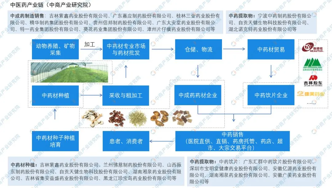 2020年中国中药材市场分析及前景预测
